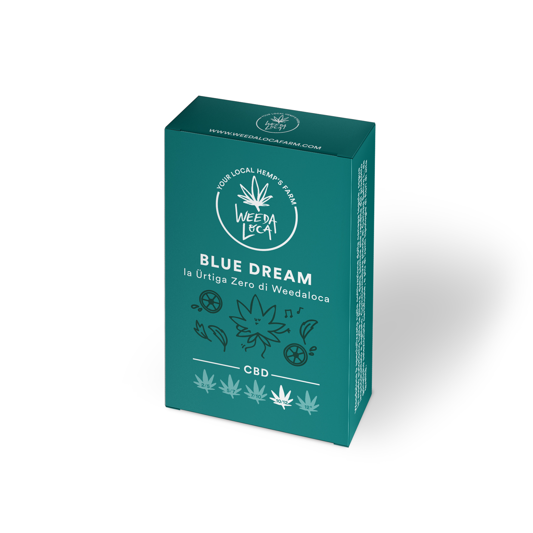 Blue Dream - infiorescenze CBD | Cannabis Light