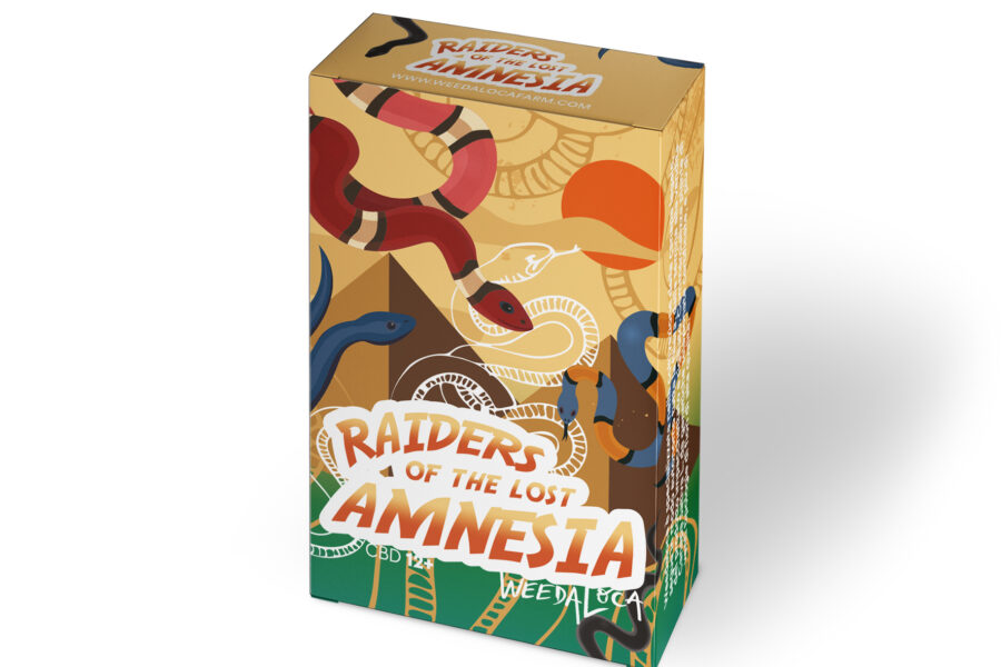 Raiders of the lost Amnesia